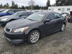 Honda Vehiculos salvage en venta: 2010 Honda Accord EXL