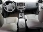 2005 Ford Escape XLT