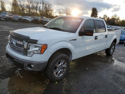 Ford salvage cars for sale: 2013 Ford F150 Supercrew