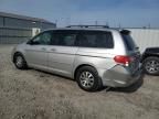 2008 Honda Odyssey EXL