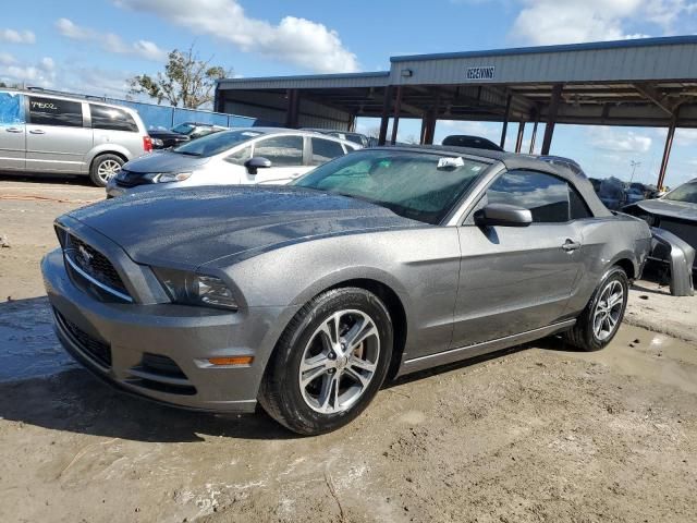 2013 Ford Mustang