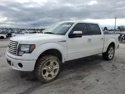 Ford F-150 salvage cars for sale: 2011 Ford F150 Supercrew