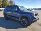 2017 Jeep Renegade Trailhawk