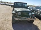 1997 Jeep Wrangler / TJ Sahara