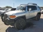 2007 Toyota FJ Cruiser