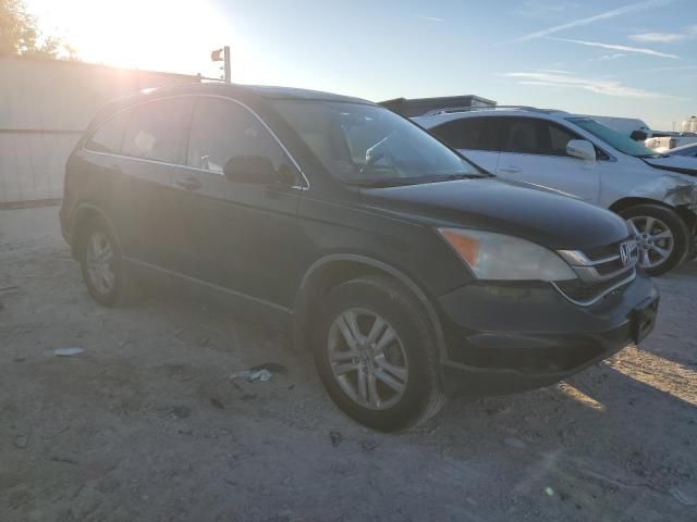 2010 Honda CR-V EXL