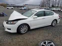 2014 Honda Accord EXL en venta en Arlington, WA