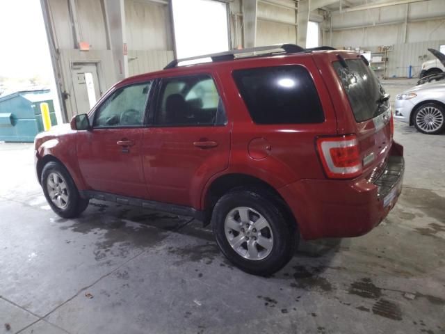 2011 Ford Escape Limited