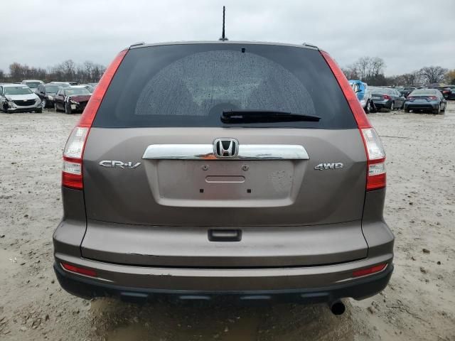 2010 Honda CR-V EXL