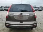 2010 Honda CR-V EXL