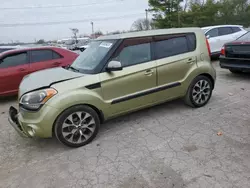 Salvage cars for sale at Lexington, KY auction: 2013 KIA Soul +