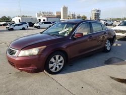 Vehiculos salvage en venta de Copart New Orleans, LA: 2008 Honda Accord EXL