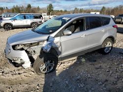 Salvage cars for sale at Candia, NH auction: 2019 Ford Escape SE