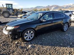 Salvage cars for sale at Magna, UT auction: 2013 Acura TL