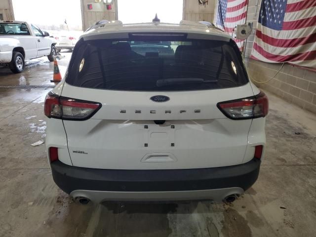 2021 Ford Escape SEL