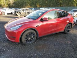 Tesla salvage cars for sale: 2022 Tesla Model Y