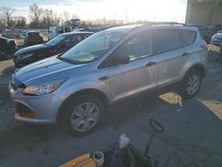 Salvage cars for sale from Copart Fort Wayne, IN: 2013 Ford Escape S