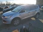 2013 Ford Escape S