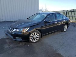 Salvage cars for sale at Duryea, PA auction: 2013 Honda Accord EXL