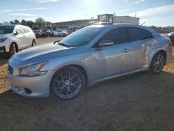 Nissan Vehiculos salvage en venta: 2010 Nissan Maxima S