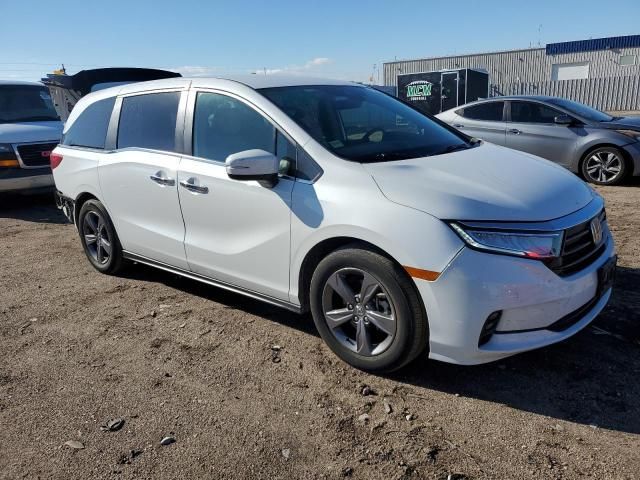 2021 Honda Odyssey EX