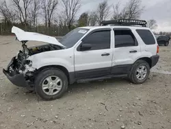 Ford salvage cars for sale: 2004 Ford Escape XLT