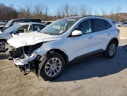 Ford salvage cars for sale: 2021 Ford Escape SE