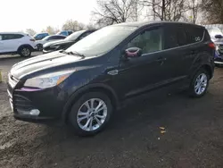 Salvage cars for sale at London, ON auction: 2016 Ford Escape SE