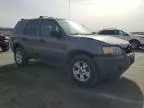 2005 Ford Escape XLT