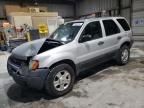 2003 Ford Escape XLT