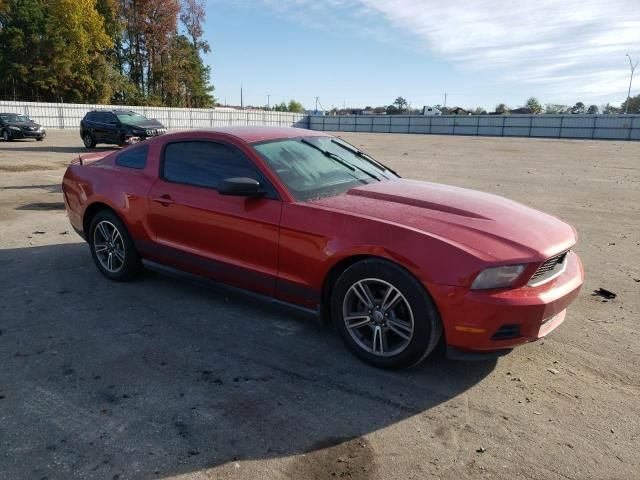 2010 Ford Mustang