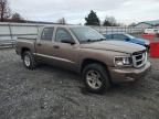 2010 Dodge Dakota SXT