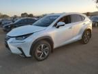 2020 Lexus NX 300H