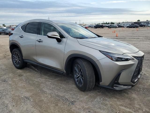 2025 Lexus NX 350H Base