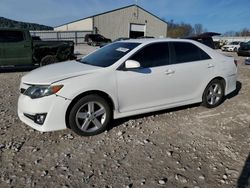 2013 Toyota Camry L en venta en Lawrenceburg, KY