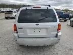 2006 Ford Escape Limited