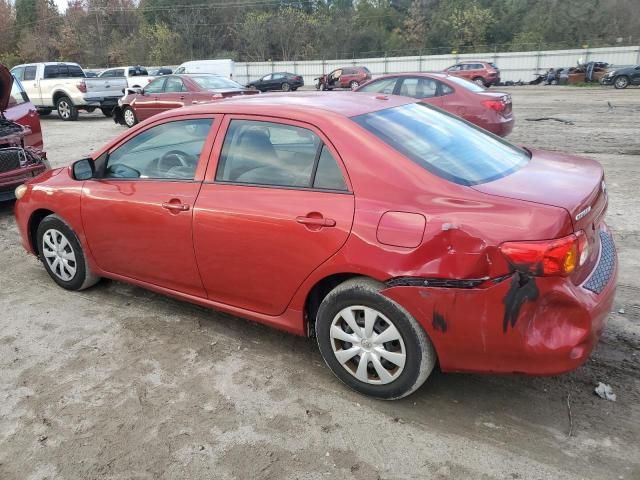 2010 Toyota Corolla Base