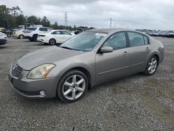 Salvage cars for sale at Riverview, FL auction: 2004 Nissan Maxima SE