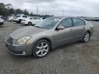 2004 Nissan Maxima SE