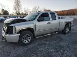 Chevrolet Silverado k1500 ls Vehiculos salvage en venta: 2010 Chevrolet Silverado K1500 LS