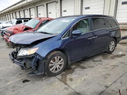 Salvage cars for sale at Louisville, KY auction: 2014 Honda Odyssey EXL