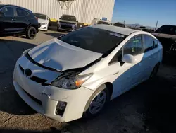 Salvage cars for sale at Tucson, AZ auction: 2010 Toyota Prius