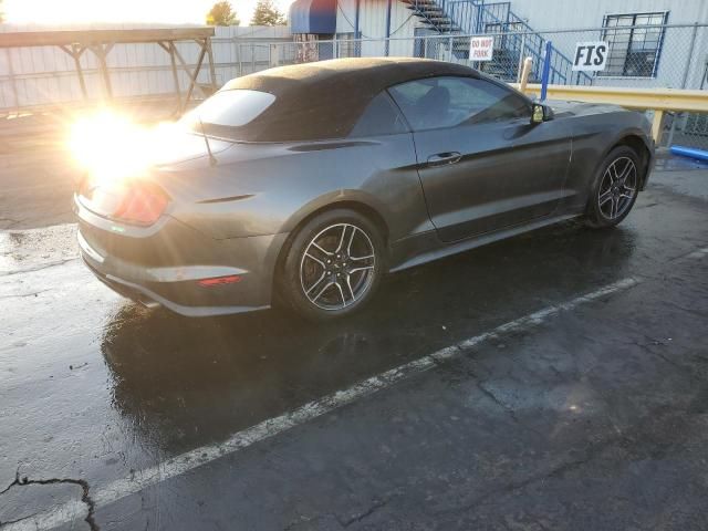 2019 Ford Mustang