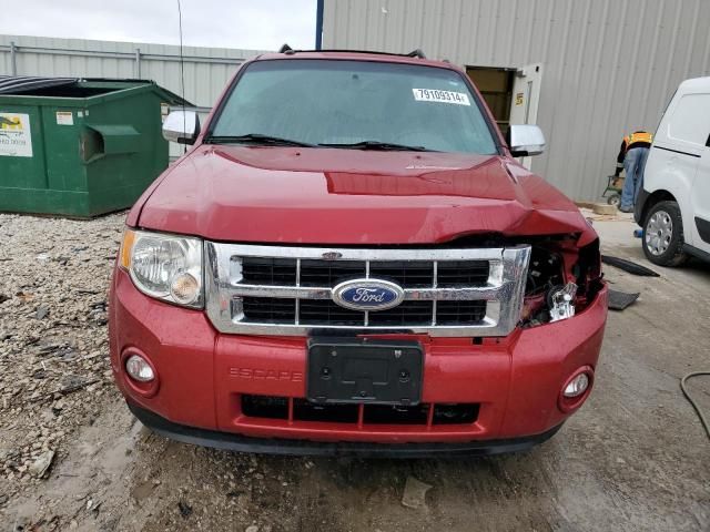 2011 Ford Escape XLT