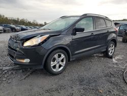 Ford Escape salvage cars for sale: 2015 Ford Escape SE