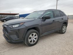 Lotes con ofertas a la venta en subasta: 2021 Toyota Rav4 LE