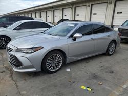 2019 Toyota Avalon XLE en venta en Louisville, KY