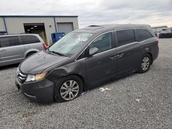 Salvage cars for sale from Copart Earlington, KY: 2014 Honda Odyssey EXL