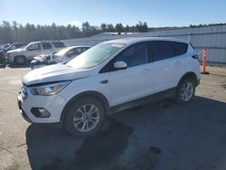 Ford salvage cars for sale: 2017 Ford Escape SE