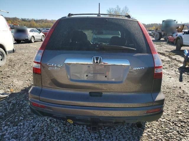 2010 Honda CR-V EXL